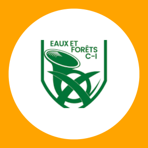 logo-ministere-des-eaux-et-forets-ci